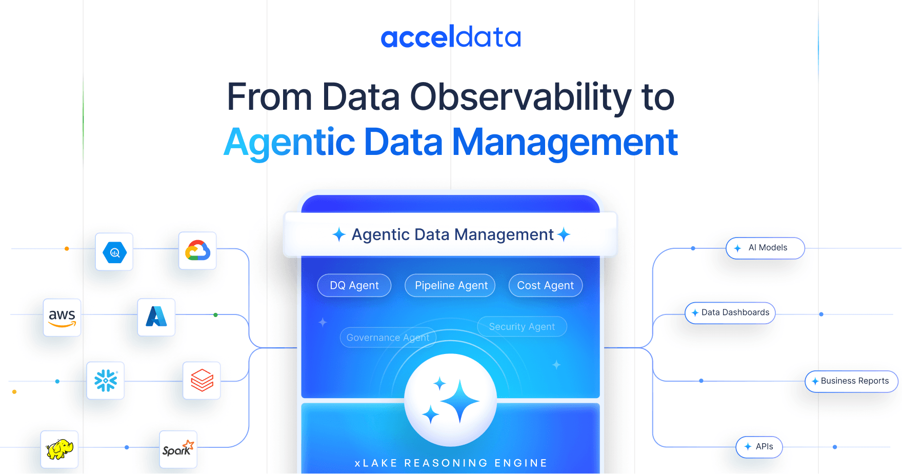 Acceldata Interface
