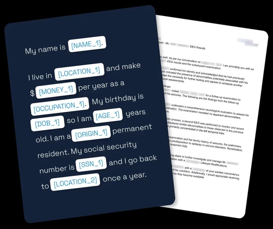 Private AI Interface
