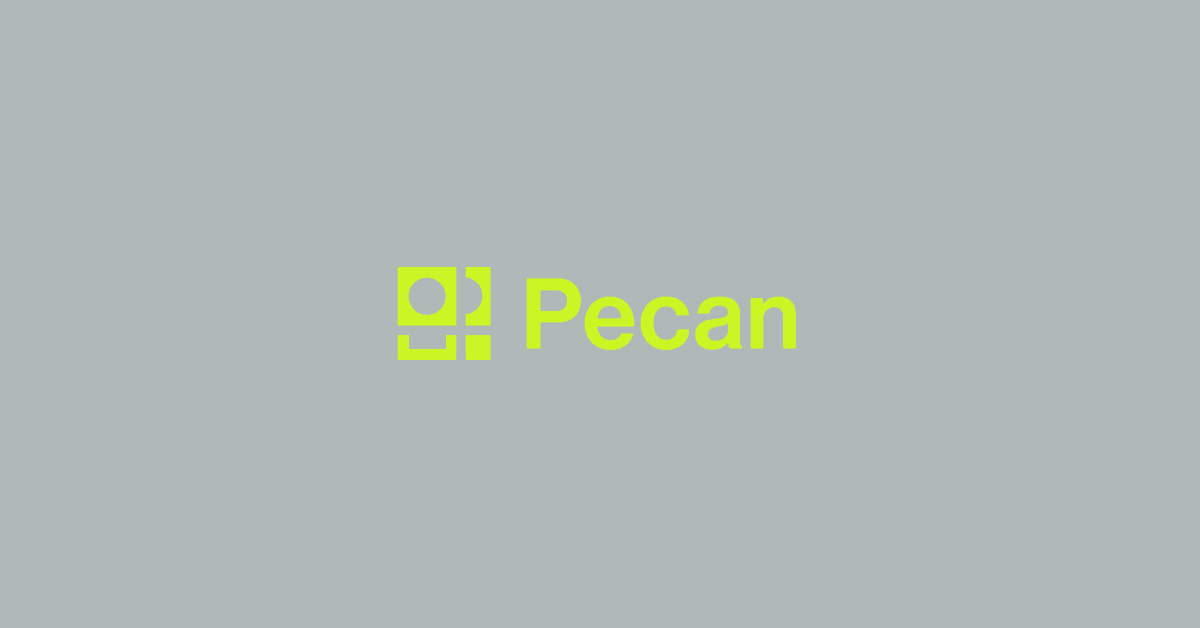 Pecan AI Interface