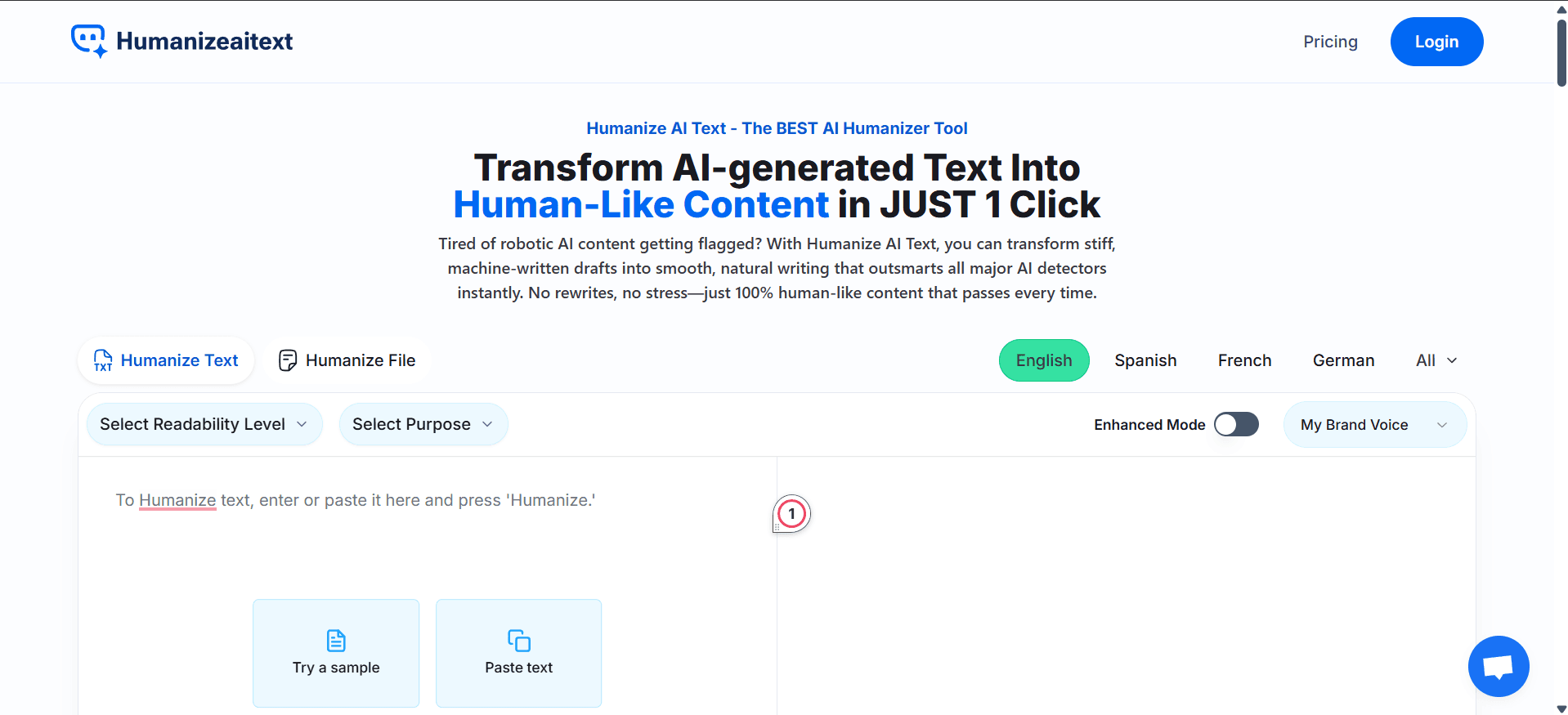 Humanize AI Text Interface