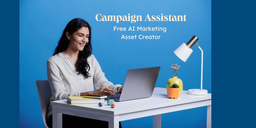 HubSpot Campaign Assistant Interface