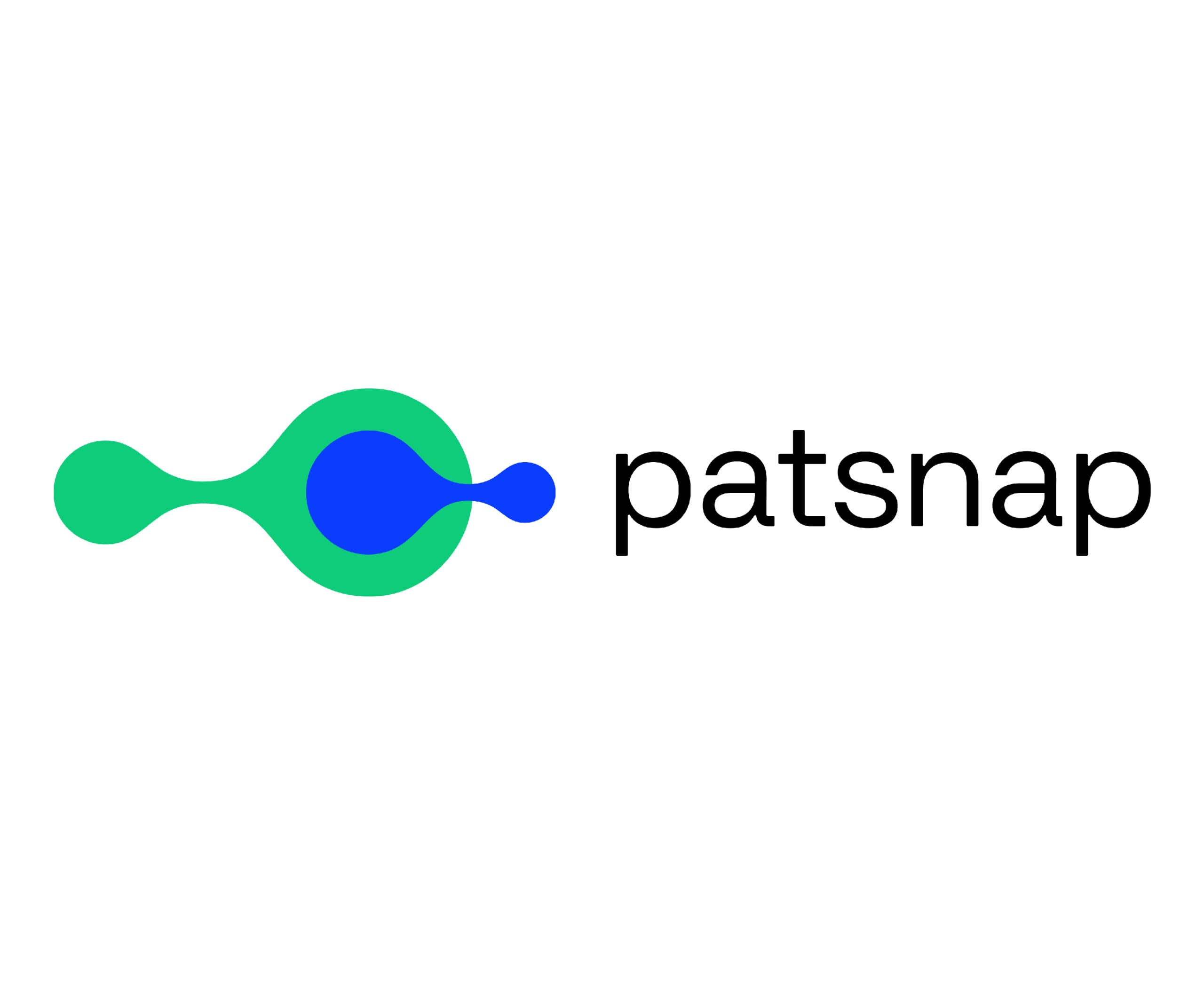 PatSnap Interface
