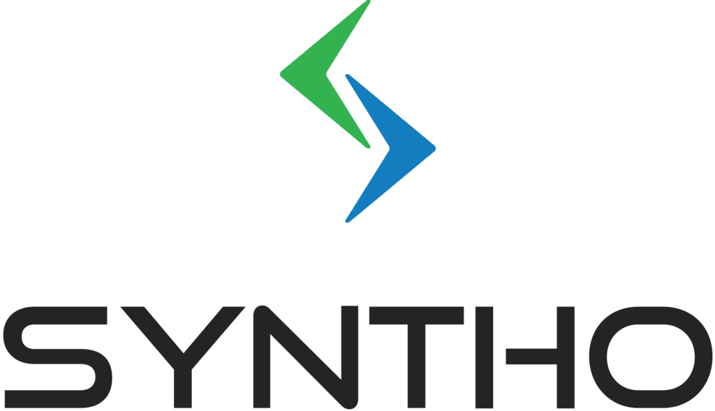 Syntho Interface