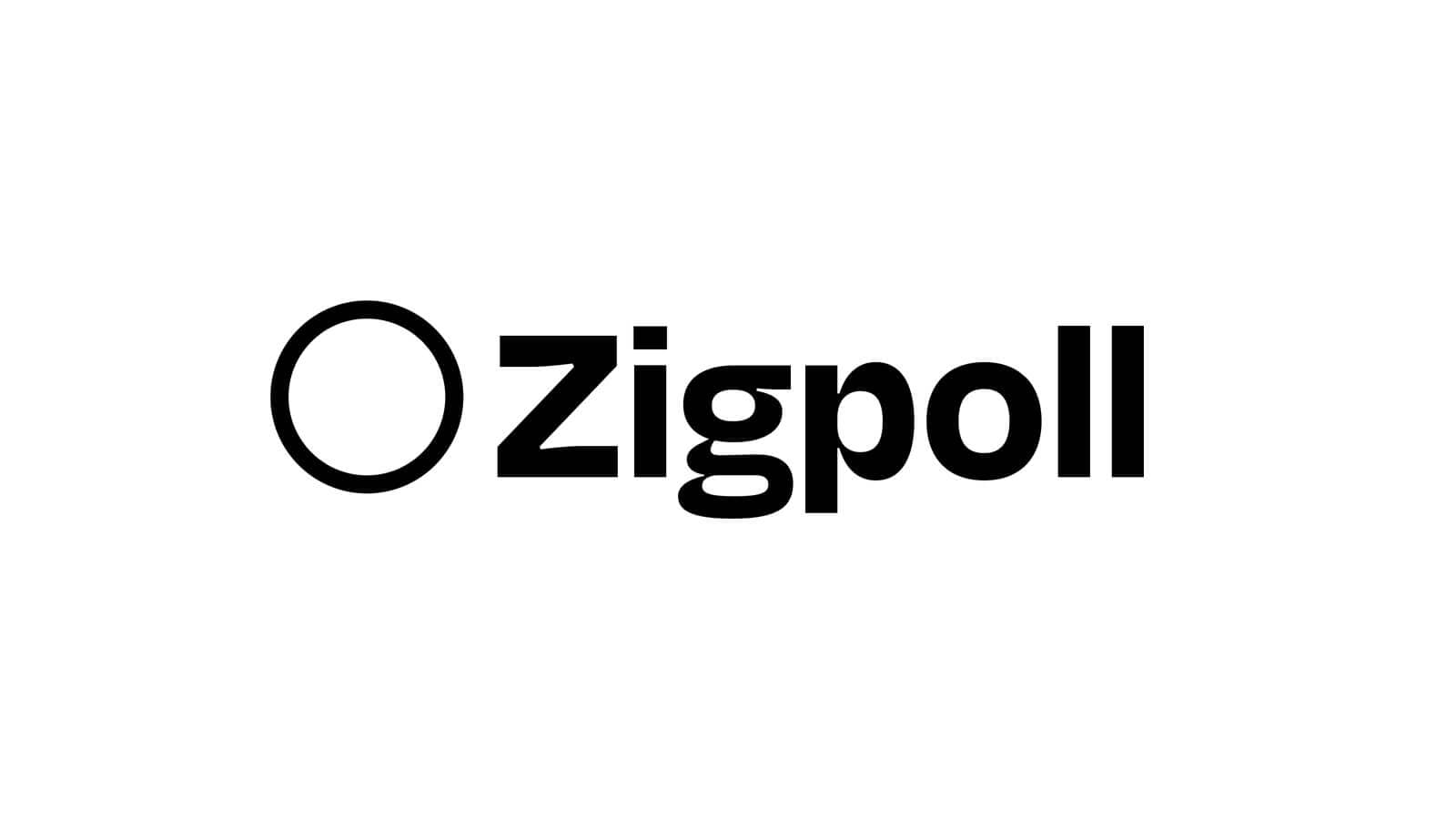 Zigpoll Interface