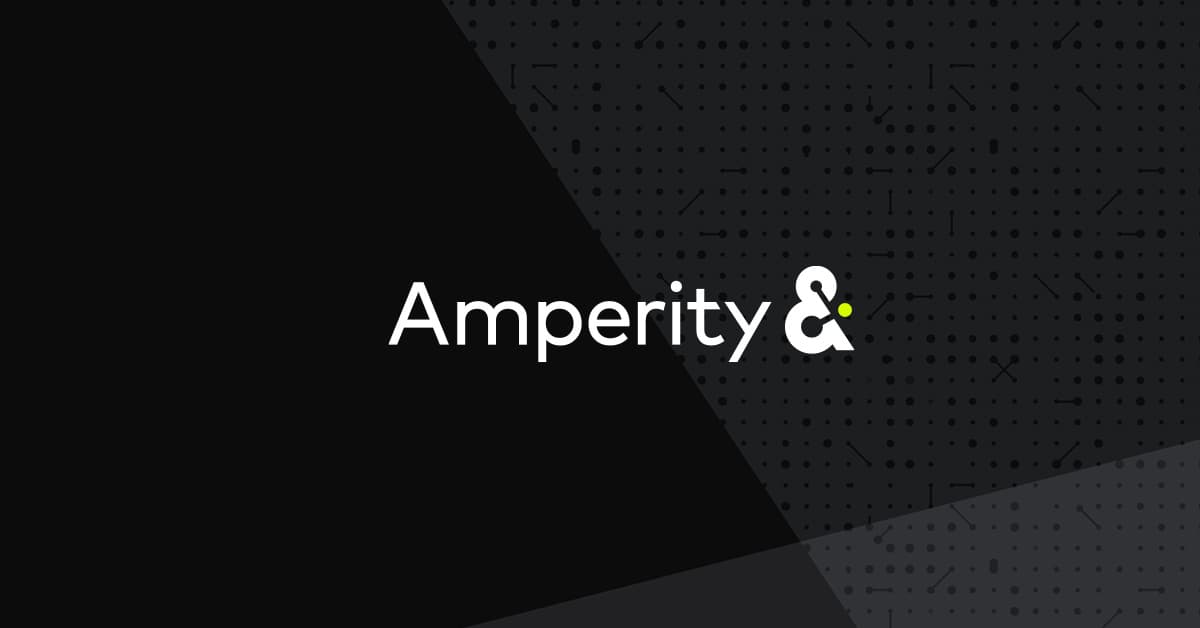 Amperity Interface