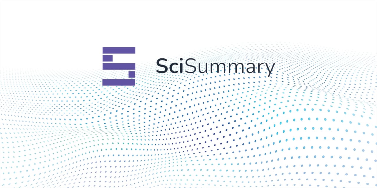 SciSummary Interface