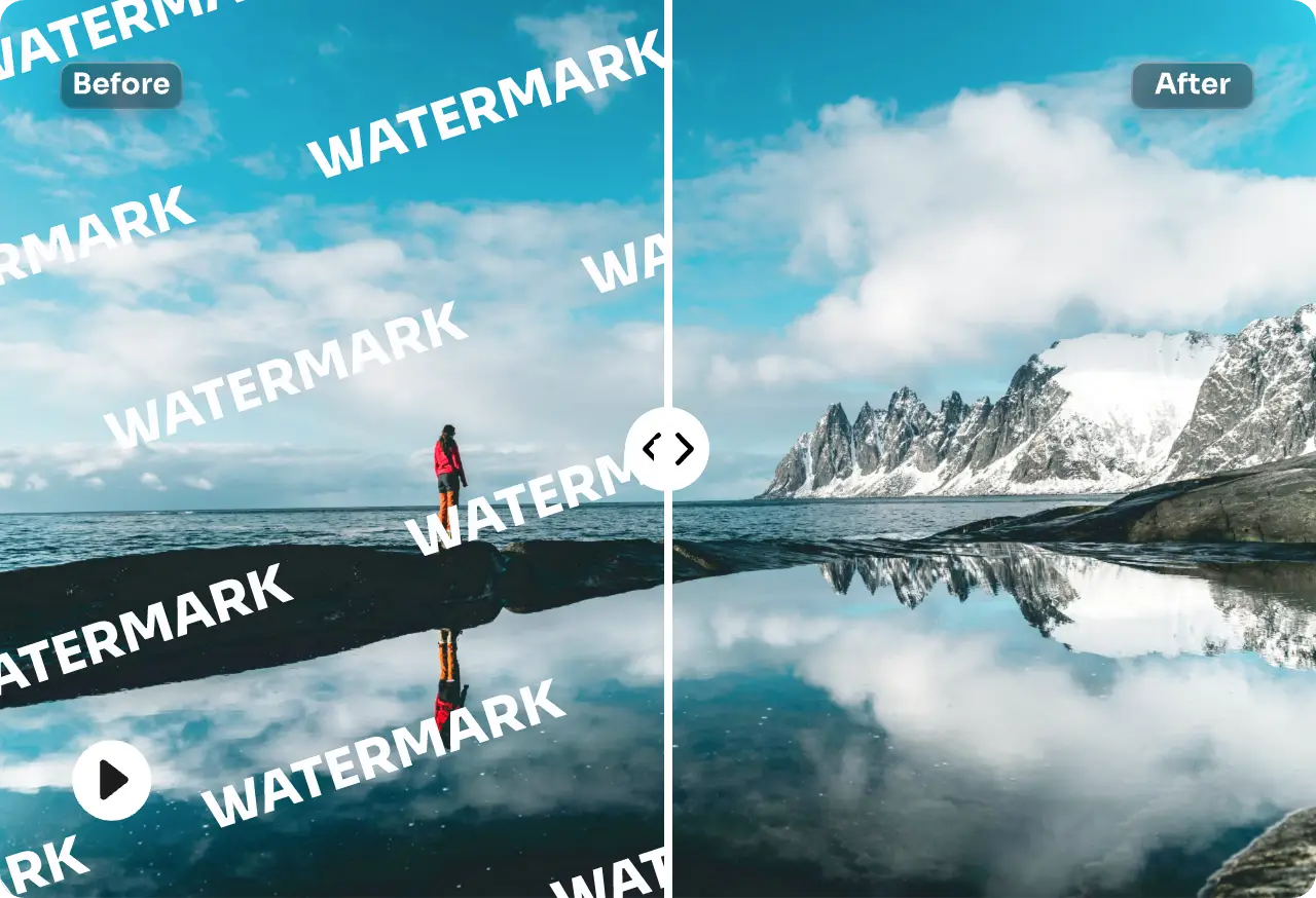 AIEase Video Watermark Remover Interface
